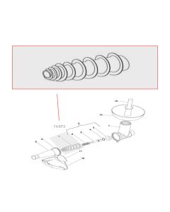 Fabio Leonardi 7ASP2 Screw Feeder Niploy #2