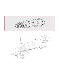 Fabio Leonardi 7ASP5 Screw Feeder Niploy #5